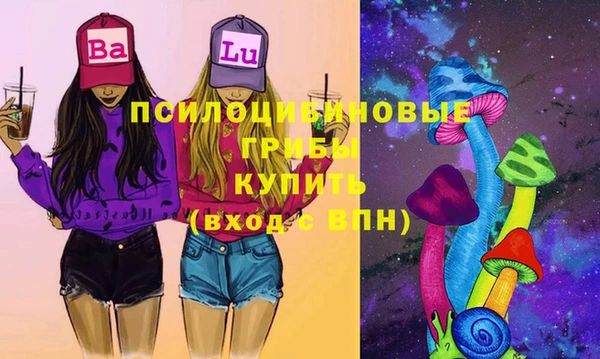 ГАЛЛЮЦИНОГЕННЫЕ ГРИБЫ Абдулино