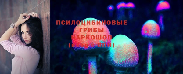 ГАЛЛЮЦИНОГЕННЫЕ ГРИБЫ Абдулино