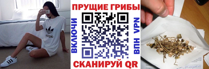 где купить наркотик  Яблоновский  Псилоцибиновые грибы Cubensis 
